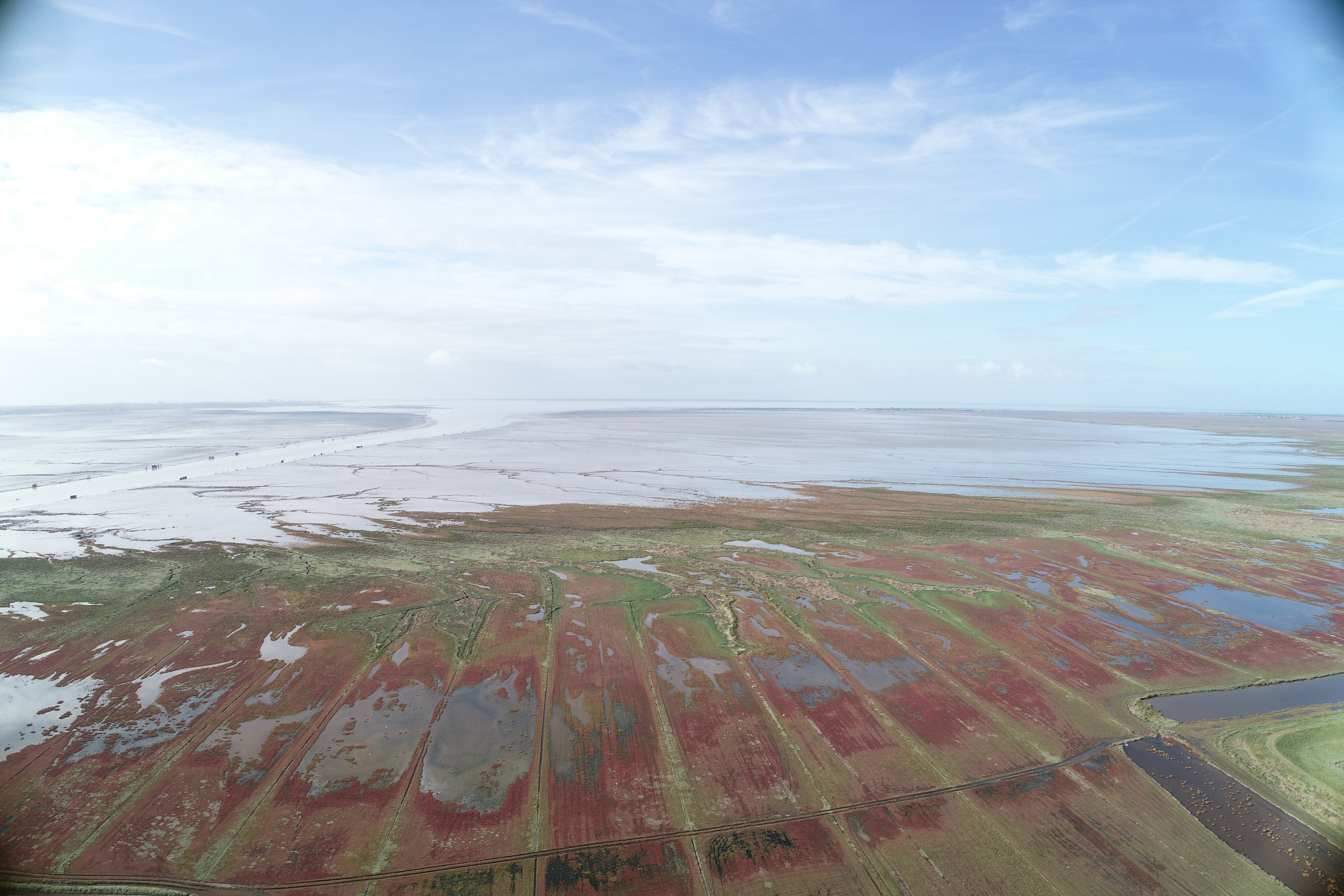 Vue aérienne sur les prés salés